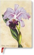 Paperblanks Painted Botanicals Brazilian Orchid Mini UNLINED