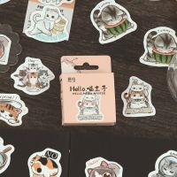 Stickers - Box - Hello Meow Master (46pcs) (NEW)